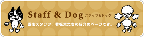 Staff ＆ Dog